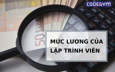Mức lương lập trình viên tại Việt Nam năm 2024