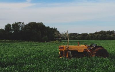 Xây dựng crawler siêu đơn giản với Java